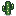 a cactus