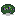 an elder bush
